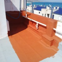 C.P. San Bartolomé. El Campello.